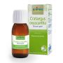 Crataegus Oxyacantha: Estratto Glicerico in Macerato da 60ml