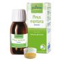 Pinus Montana Macerato Glicerico - Estratto Naturale 60ml