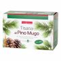 Tisana di Pino Mugo Naturplus - 20 Filtri da 30g