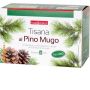 Tisana di Pino Mugo Naturplus - 20 Filtri da 30g