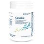Candex Digestive Health Support - 90 Capsule Pack