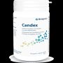 Candex Digestive Health Support - 90 Capsule Pack