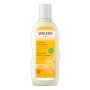 Weleda Avena 190ml: Shampoo Ristrutturante per Capelli Danneggiati