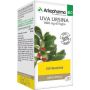 Arkopharma Bio Uva Ursina 45 Capsule