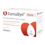 Curcudyn Forte - Integratore Salutare con 90 Capsule