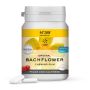 Gomma da Masticare Lemon Pharma N39 con Fiori di Bach, 60g