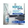 Norica Spray Igienizzante Antibatterico - 100ml
