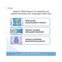 Isypan Macrogol 4000 - 20 Bustine da 10g