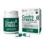 Condrostress + Integratore per Gatti, 30 Capsule Monodose