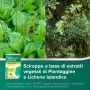 AspiGola Natura - Sciroppo Limone Amarena 16 Bustine da 10ml