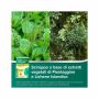 AspiGola Natura - Sciroppo Limone Amarena 16 Bustine da 10ml