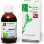 Gemmoderivato di Fico 50ml - Estratto di Gemme Concentrate