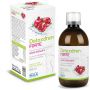 Detoxdren Forte Advanced Detox Solution 500ml
