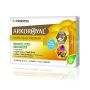 Arkopharma Arkoroyal Fortificante Immunitario Senza Zucchero - 10 Flaconcini da 15 ml