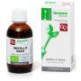 Mirtillo Nero Bio Macerato in Glicerina - 50ml