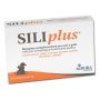 SILIPLUS - Integratore Salutare, 30 Compresse