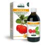 Dr. Giorgini Estratto Acerola Potenziato al 50% - 200ml
