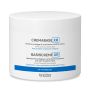 Ceramol Crema Base XR 450ml