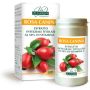Dr. Giorgini - Estratto Integrale di Rosa Canina 100g