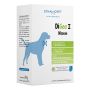 Dynamopet Digea I Medium: Alimento Complementare per Cani