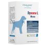Dynamo L Medium - Mangime Complementare per Cani, 20 Bustine