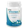 Prosol Petmod Intestinal F Per Cani/Gatti Barattolo 100g