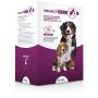 Msd Animal Health Youact Glico Per Cani 30 Bustine