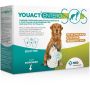 Msd Animal Health Youact Entero SOS Per Cani/Gatti 14 Bustine