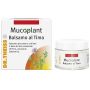 Dr Theiss Mucoplant - Balsamo al Timo, 50ml