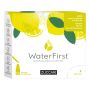 Zuccari WaterFirst Stick - Gusto Limone, Menta e Fiori di Sambuco - Pacco da 12