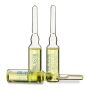 Rilastil Smagliature - Set di 10 Fiale Anti-Smagliature da 5ml