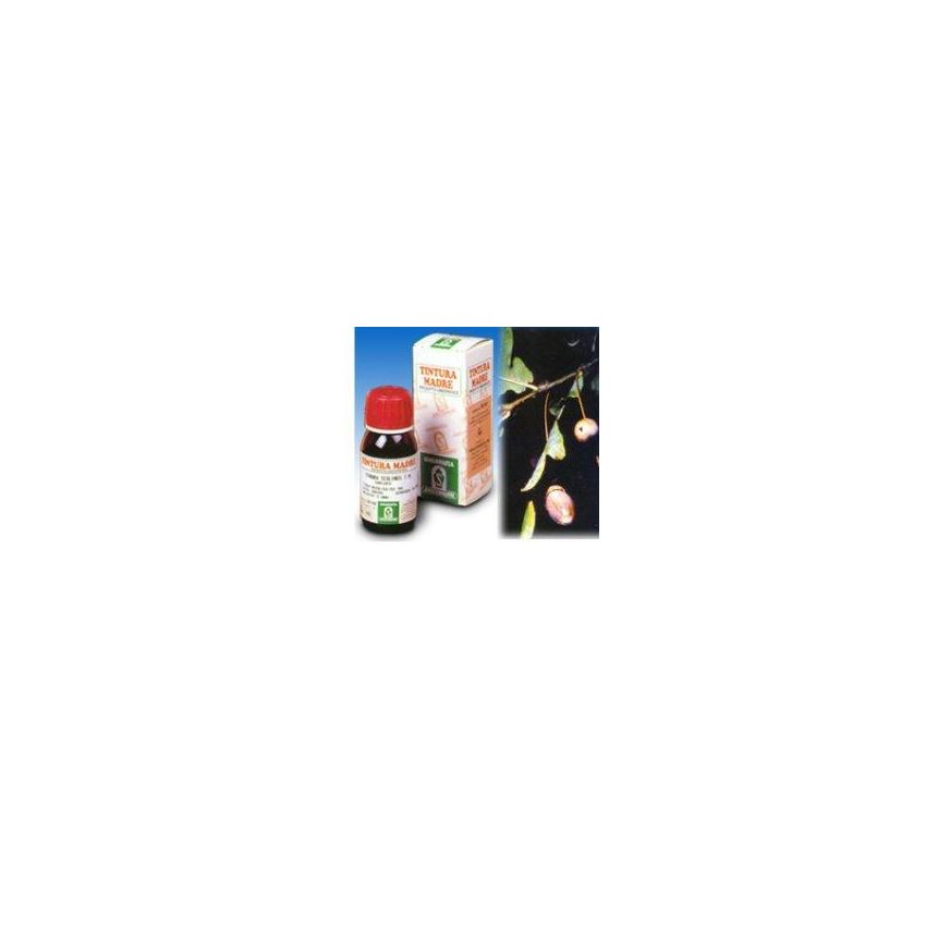 Quercia Mari 14 50ml TM