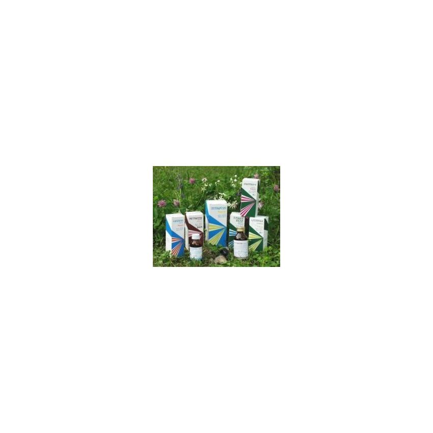 RAEMIL Radice NE Comp 250ml