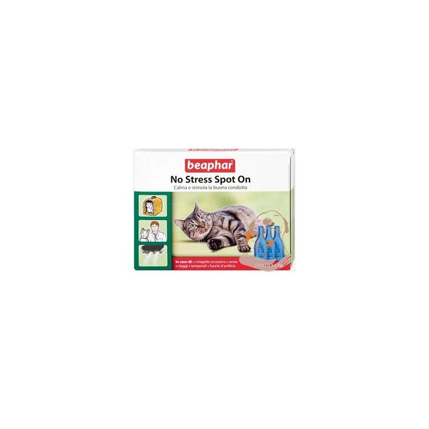 No Stress Spot On Gatto 3 Pipette