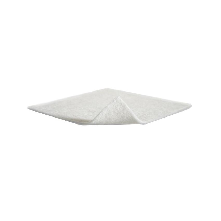 MELGISORB AG MEDICAZIONE 10X10