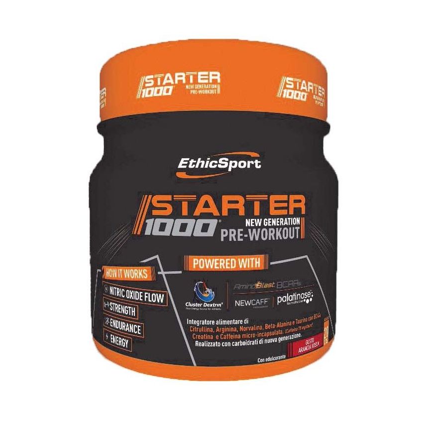 STARTER 1000 NEW GENER PRE WOR