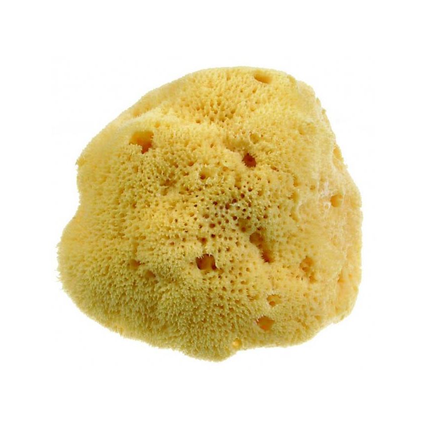 Beautytime Spugna Naturale Dama M