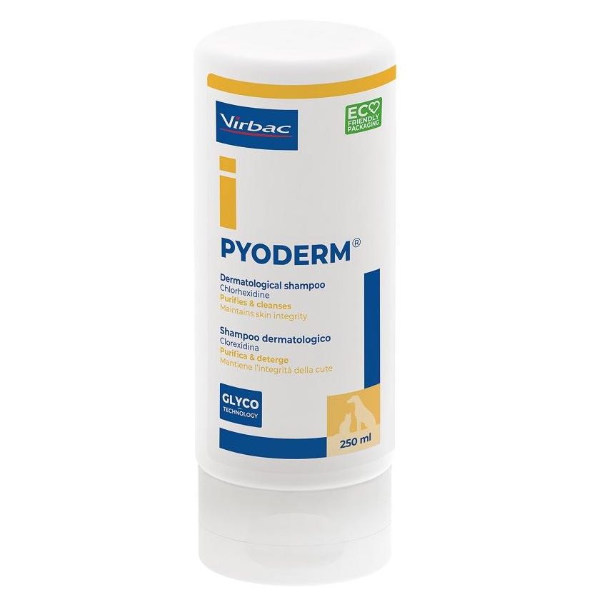 PYODERM SHAMPOO 250ML