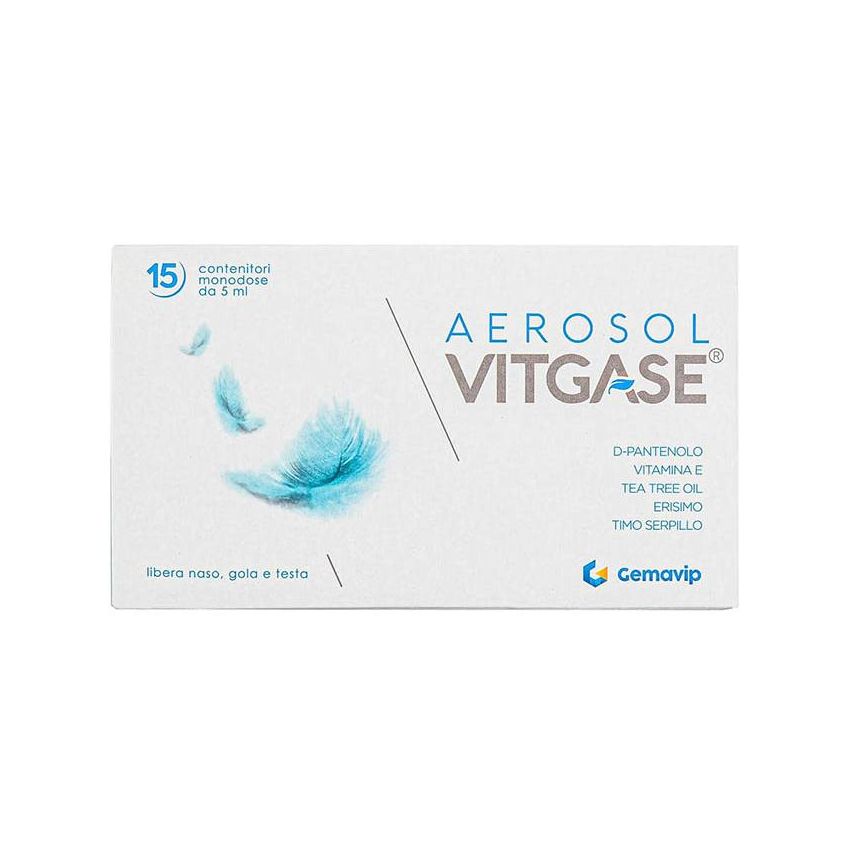 VITGASE AEROSOL 15FL 5ML