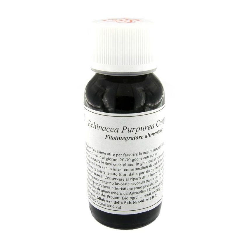 LVS 67S ECHINACEA PURPUREA COM