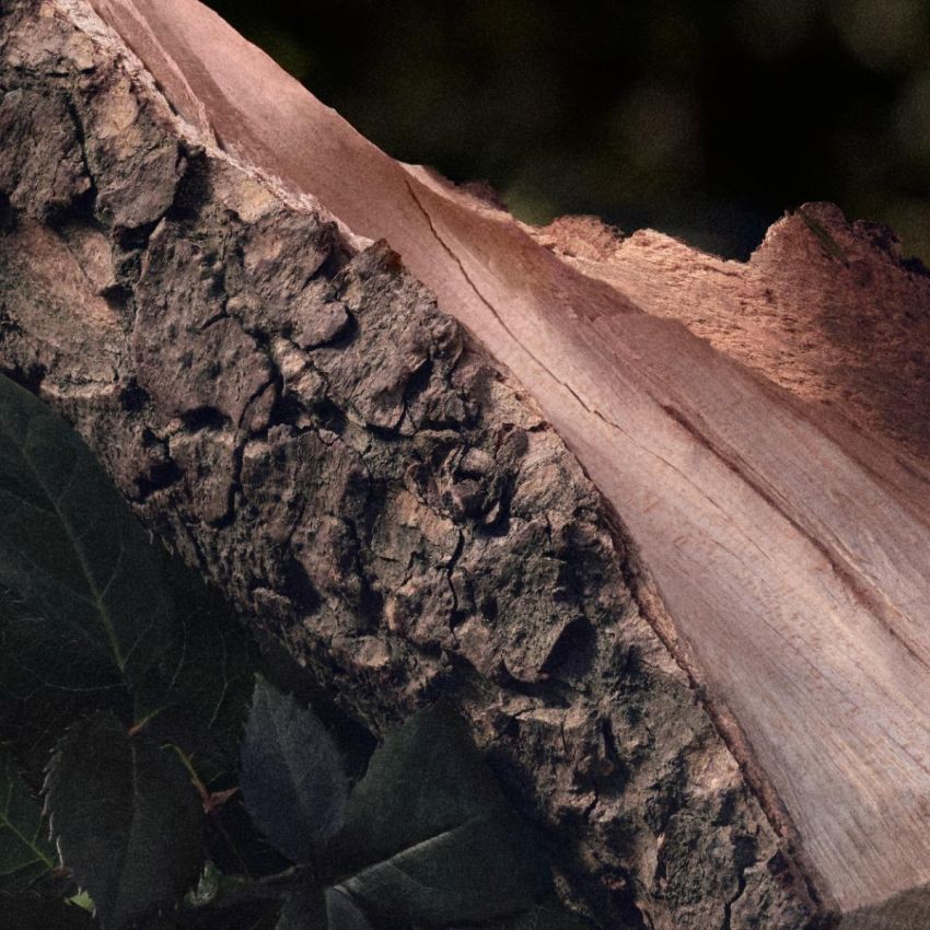 CHLOE NATEDP 100MLRICARICAB