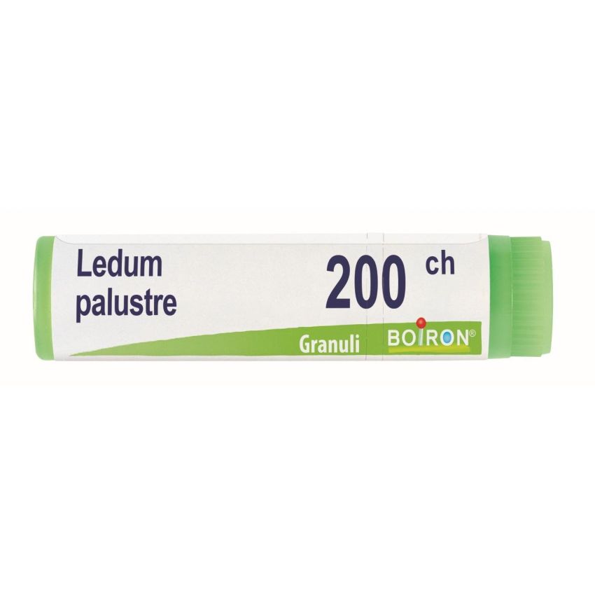 Boiron Ledum Palustre 200Ch - Granuli Omeopatici di Alta Potenza