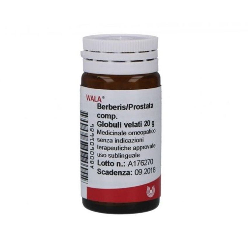Wala Berberis Prostata Support Compositum 20g