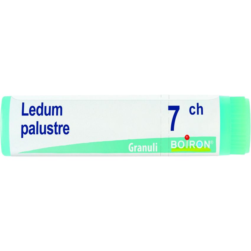 Boiron Ledum Palustre 07Ch Globuli Omeopatici - Dose da 1g