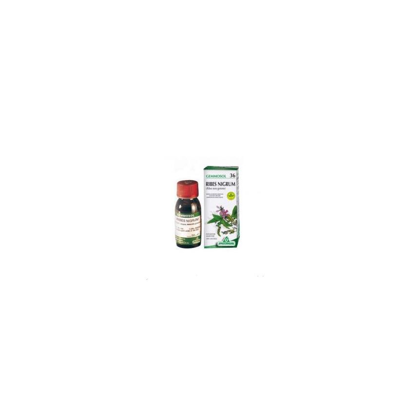 Gemmosol 36 Ribes Nero Concentrato di Bacche Nere 100ml