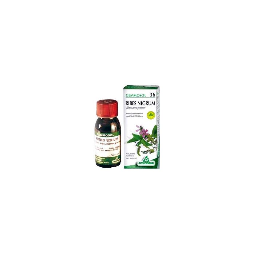 Gemmosol 36 Ribes Nero Concentrato di Bacche Nere 100ml