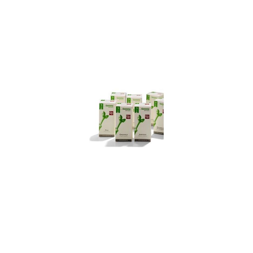 Glicerina di Betulla Pubescens 50ml - Estratto Naturalmente Macerato