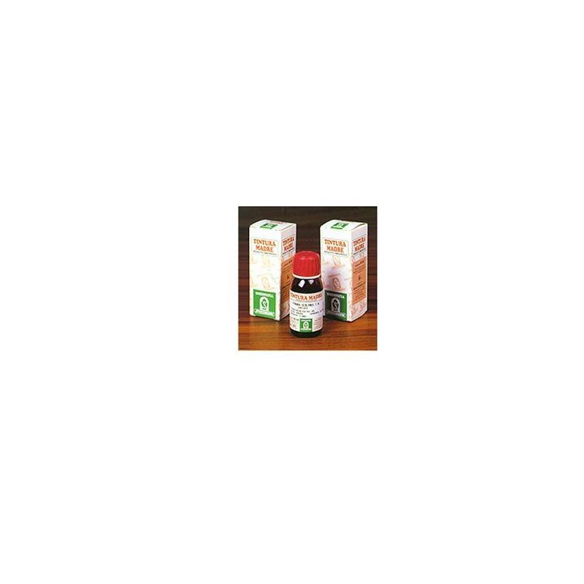 Soluzione Idroalcolica di Pilosella 50ml - Concentrazione 20%