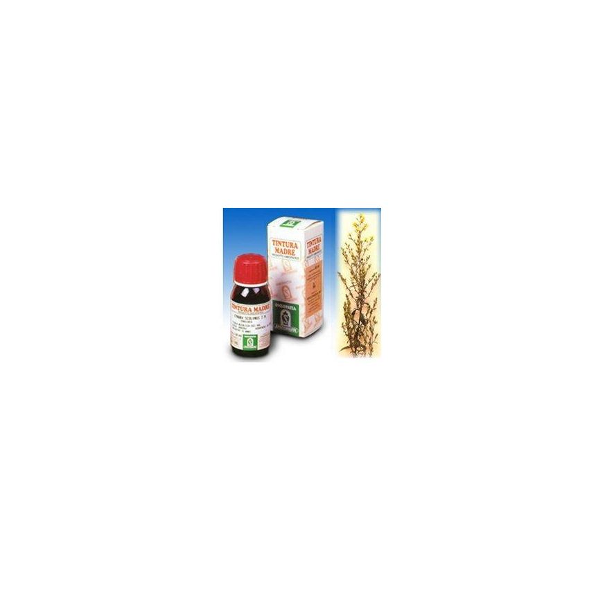 Specchiasol Verga Oro Soluzione Idroalcolica, 50ml