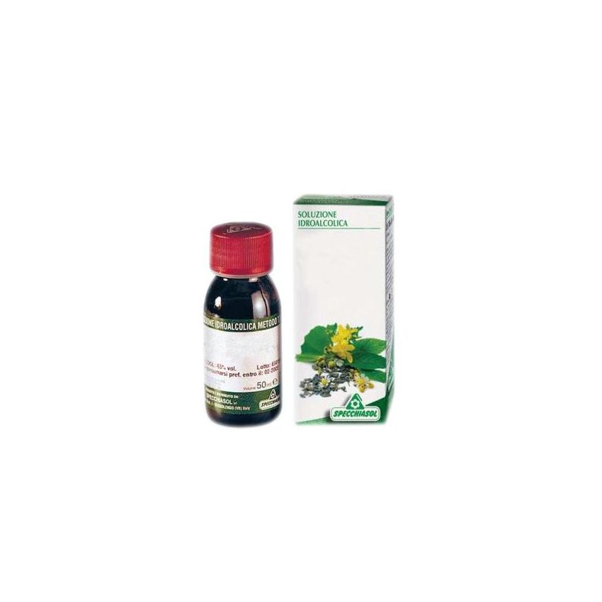 Specchiasol Verga Oro Soluzione Idroalcolica, 50ml